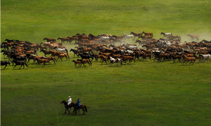 化工軟管存在的使用問(wèn)題及解決方案